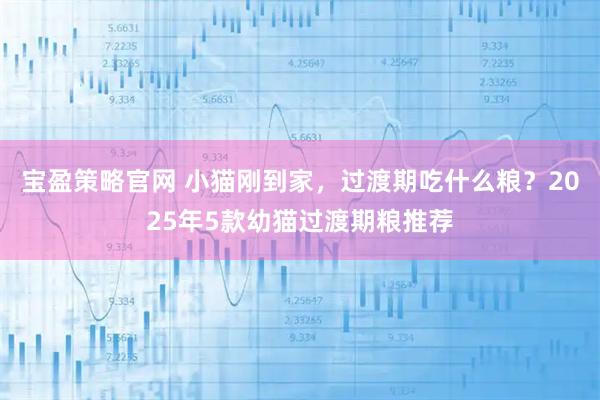 宝盈策略官网 小猫刚到家，过渡期吃什么粮？2025年5款幼猫过渡期粮推荐