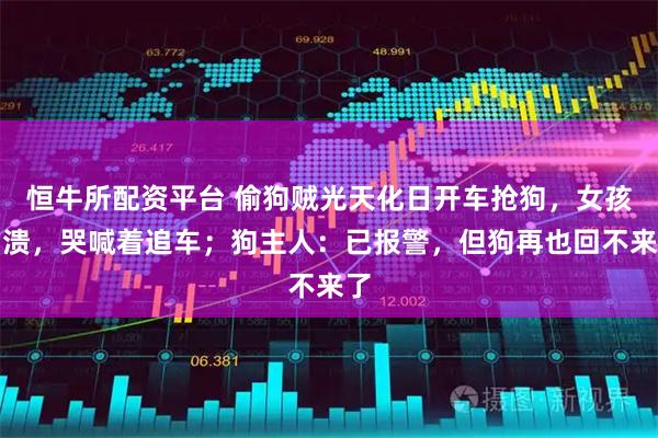 恒牛所配资平台 偷狗贼光天化日开车抢狗，女孩崩溃，哭喊着追车；狗主人：已报警，但狗再也回不来了