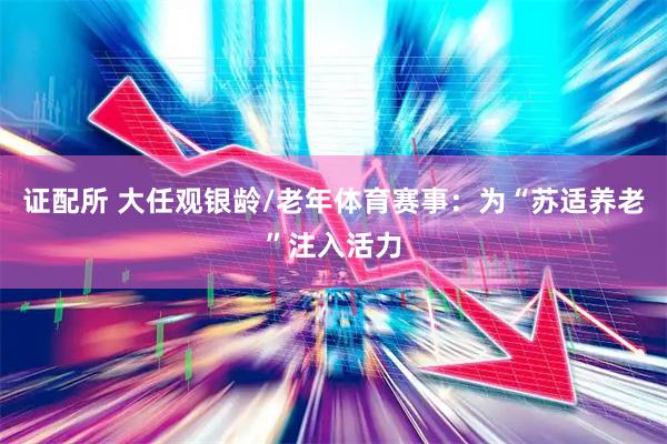 证配所 大任观银龄/老年体育赛事：为“苏适养老”注入活力