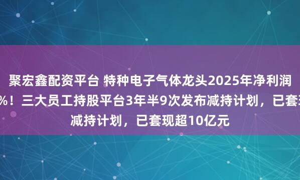 聚宏鑫配资平台 特种电子气体龙头2025年净利润下降26.75%!三大员工持股平台3年半9次发布减持计划,已套现超10亿元